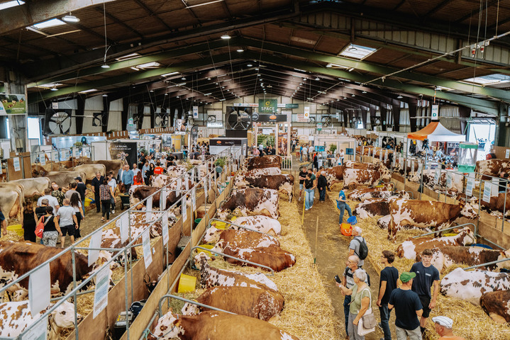 Irriguer, irriguer, irriguer&nbsp;: malgré la sécheresse, l'agro-industrie s'accroche à ses bassines