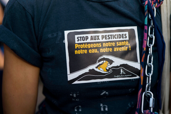 Le triallate, un pesticide interdit, réautorisé par le ministère de l'Agriculture