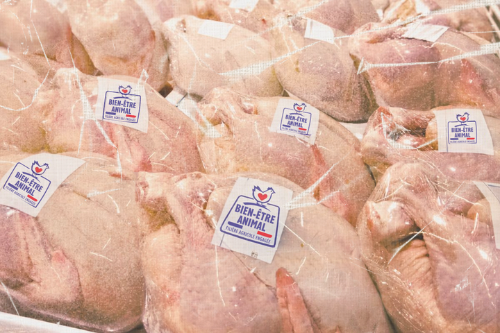 «<small class="fine d-inline">&nbsp;</small>Bien-être animal<small class="fine d-inline">&nbsp;</small>» pour les poulets&nbsp;: un logo qui prend les consommateurs pour des jambons