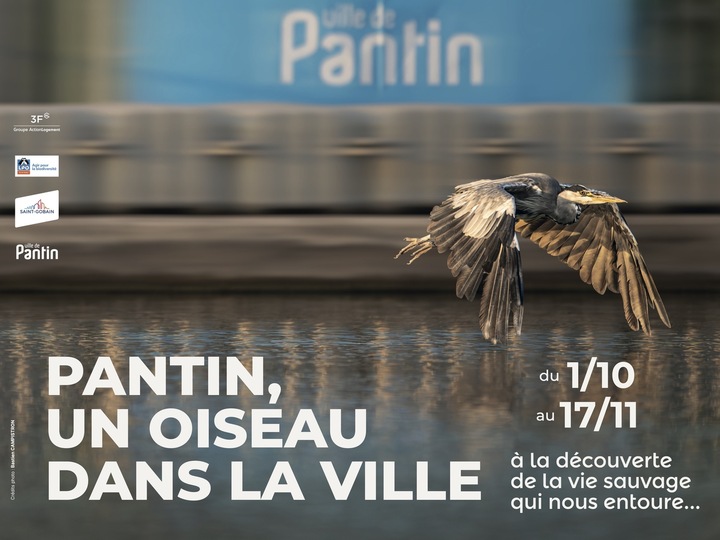 «<small class="fine d-inline">&nbsp;</small>Un oiseau dans la ville<small class="fine d-inline">&nbsp;</small>», exposition à Pantin (Seine-Saint-Denis)
